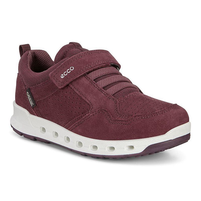 Zapatos Bajos Ecco Biom Vojage Para Niños,Moradas,370249-XTV